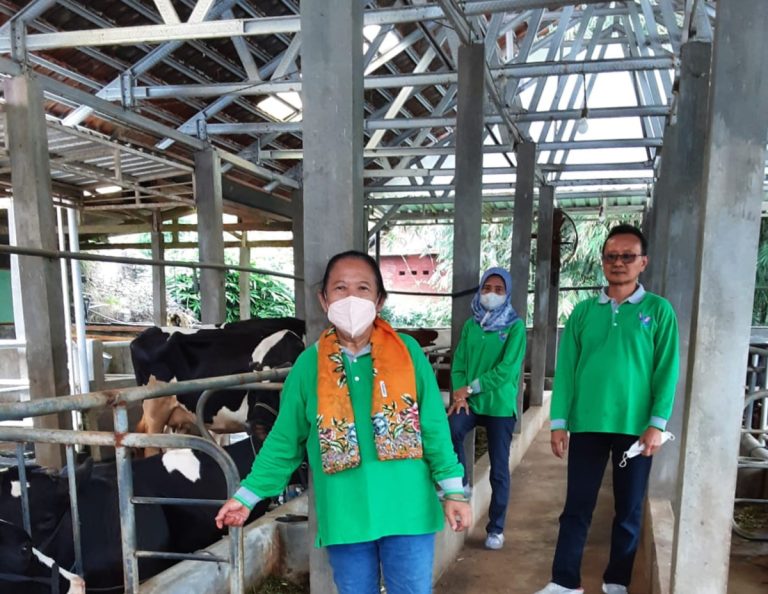 Tingkatkan Penghasilan, FKH Unair Beri Pelatihan Peternak Dan Pelaku UMKM Wisata Cowindo