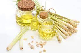 BLAIR, Inovasi Sekelompok Anak Muda Dalam Menaikkan Nilai Ekonomi Minyak Serai