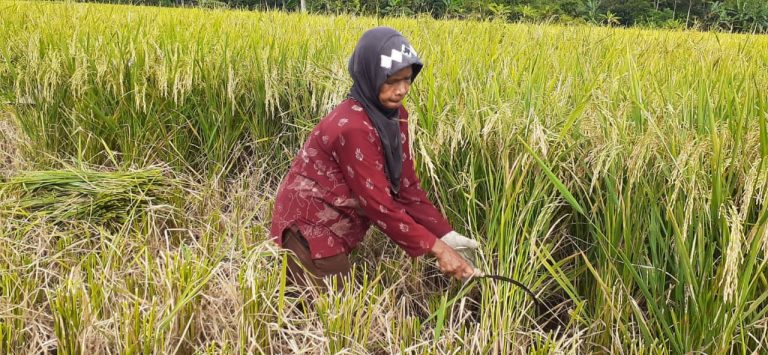 ILustrasi. (foto: istimewa)