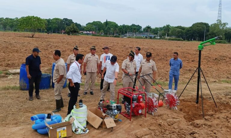 Dukung Ketahanan Pangan, PPAD Sumut Tanam Perdana Jagung Seluas 5 Hektar
