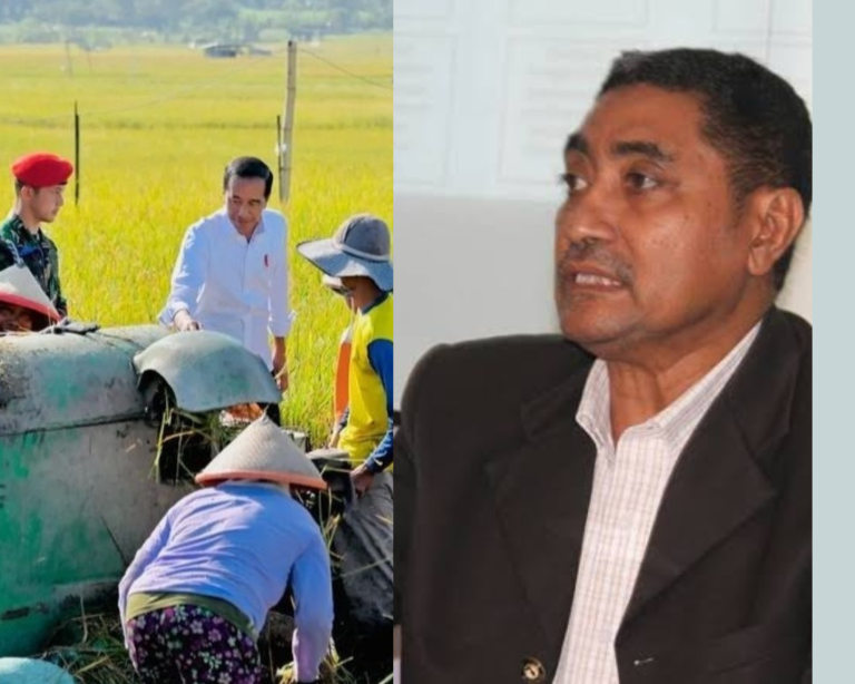 Jokowi Sebut Sulit Stabilisasikan Harga Gabah, APT2PHI: Tidak Sulit, Asal Ada Kemauan Serius!