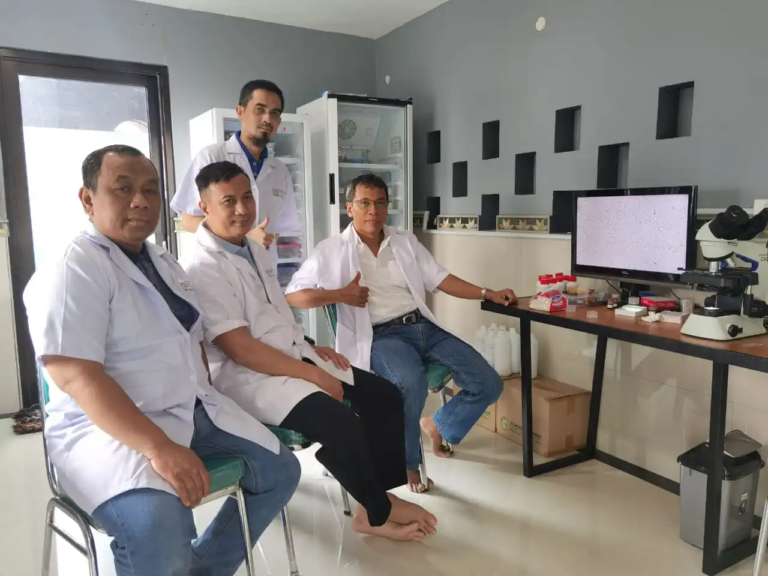 Inovasi Probiotik Ramah Lingkungan Ini Bisa Lindungi Ayam Dari Gangguan Penyakit