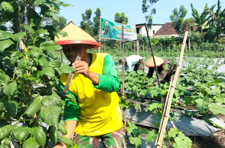 Mengenal Gado-Gado Bosbow, Beda Dari Lainnya