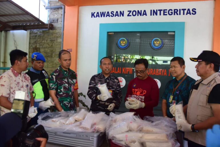 TNI AL Gagalkan Penyelundupan Benih Lobster ke Singapura Senilai 8 Miliar Lebih