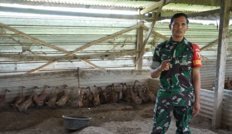 Serma Nurjain, Babinsa Tempur Yang Jadi Juragan Bebek Petelur