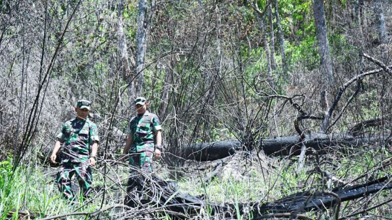 Pasca Karhutla, Danrem 081/DSJ Tegaskan TNI AD Siap Hijaukan Kembali Gunung Lawu