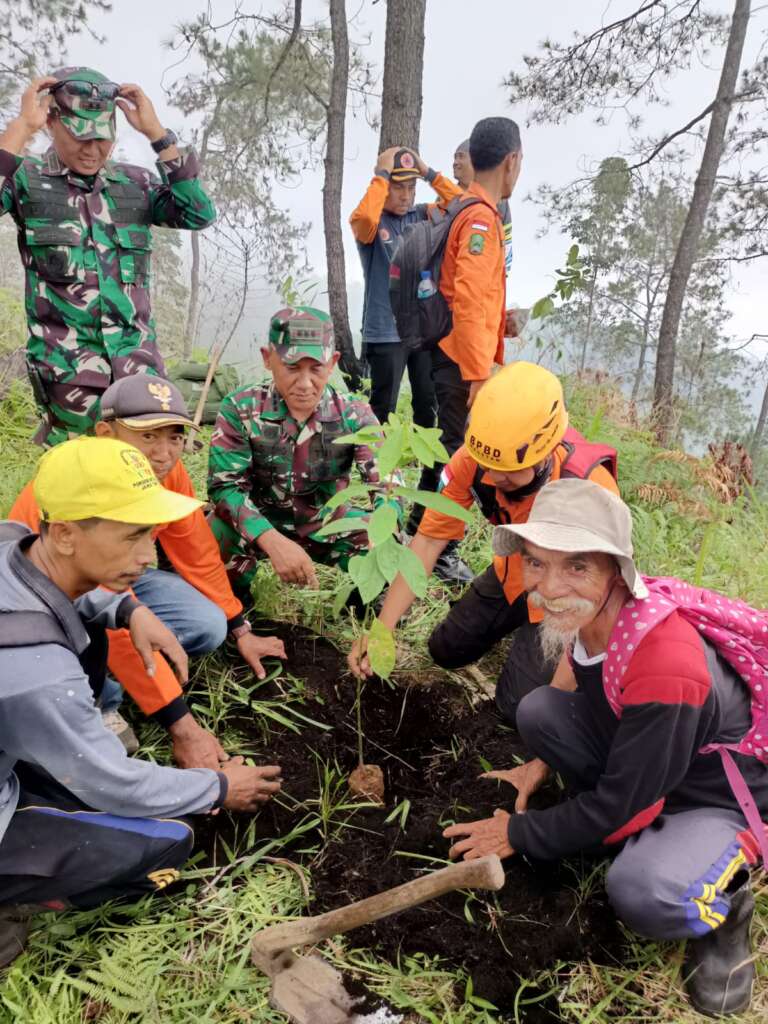 18.000 Bibit Pohon Siap Hijaukan Kembali Gunung Lawu