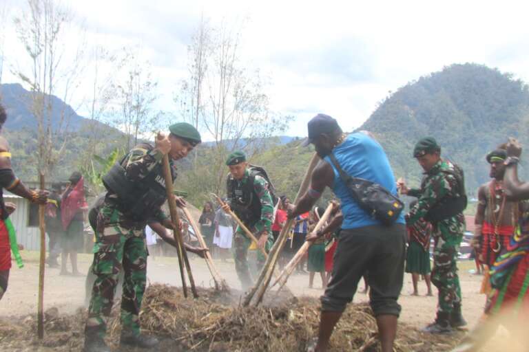 Ritual Bakar Batu, Sambut Pemilu Damai di Sinak Papua