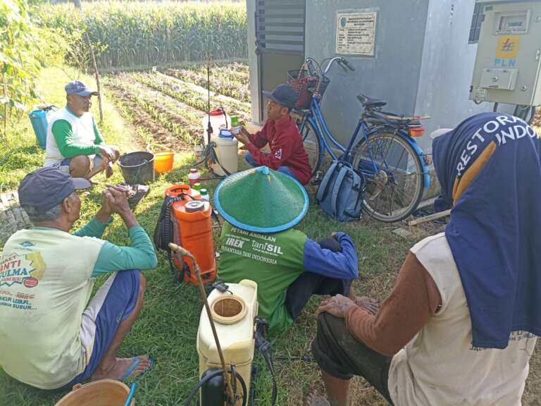 Sering Alami Hama Tanaman Padi MT 2, Petani Bancar Dapat Edukasi Dan Penyemprotan Massal dari PT Andafa Agro Indo