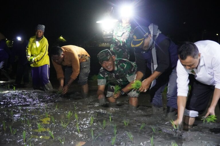 Kolonel Inf Sugiyono Tanam Padi Dini Hari, Apa Alasannya? 