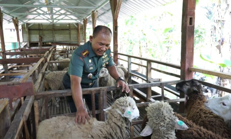 Antisipasi Darurat Pangan, Kolonel Inf Sugiyono Lakukan Eksperimen Ini