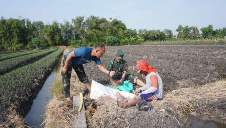 Danrem 081/DSJ: Petani Bawang Merah Nganjuk Mulai Rasakan Dampak Program Pompanisasi TNI AD!