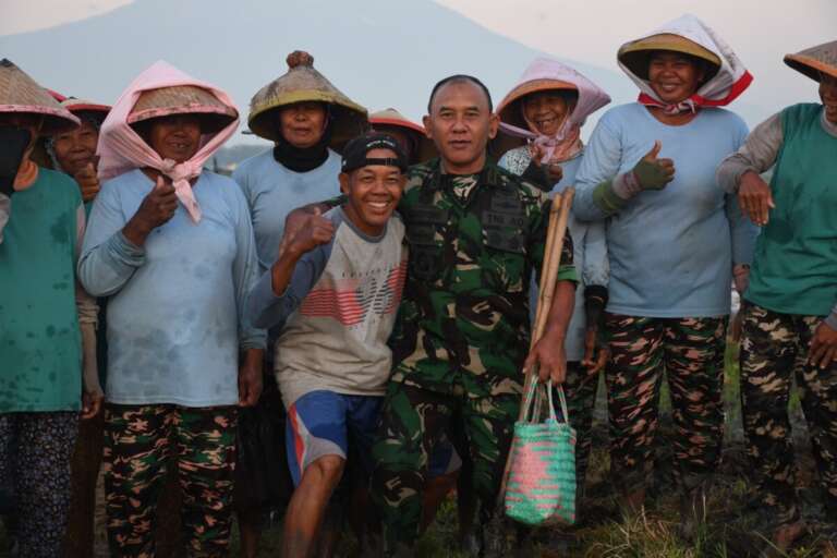 Sejuta Kisah di Hamparan Sawah