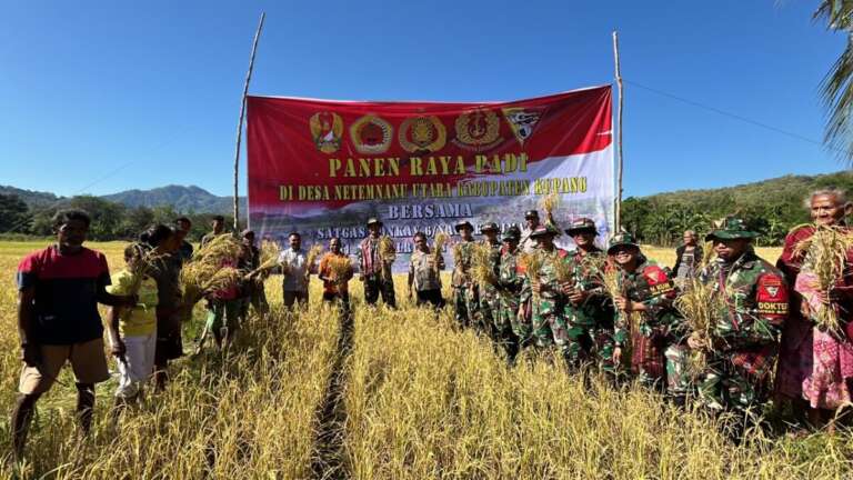 Panen Raya di Perbatasan, Dansatgas Yonkav 6/NK: Simbol Keberhasilan dan Harapan!
