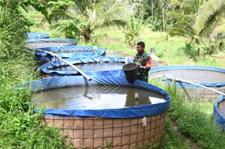 Kisah Serma Sudarsono, Prajurit TNI AD Pemilik 48 Kolam Ikan Lele