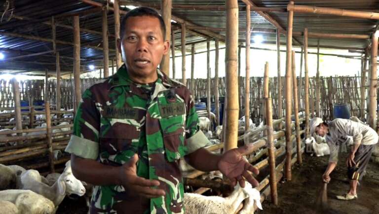 Demi Ubah Nasib Petani Singkong Desa Suren, Peltu Bambang Rela Rugi Puluhan Juta Per Bulan