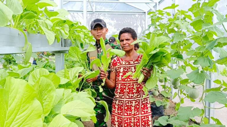 Prajurit TNI Kenalkan Warga Papua Dengan Budidaya Sayuran Metode Green House