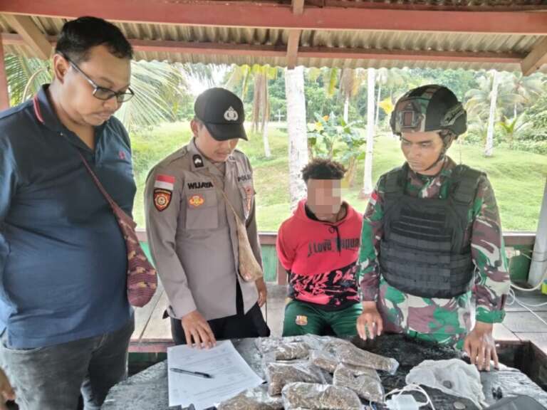 Berkat Laporan Warga, Satgas Yonif 122/TS Gagalkan 1,1 Kg Ganja Siap Edar di Perbatasan RI-PNG