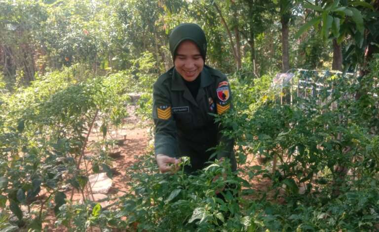 Manfaatkan Lahan Tidur, Kerja Keras Serda Adhi Kurniawan Bawa Sejuta Manfaat