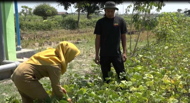 Ketika Bantuan Kementan dan TNI AD Sentuh Petani Milenial