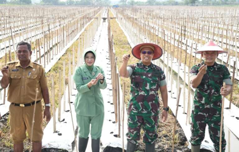 Galakkan Budidaya Melon Amanda, Danrem 081/DSJ Beberkan Alasannya