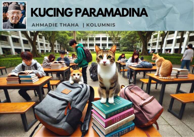 Kucing Paramadina