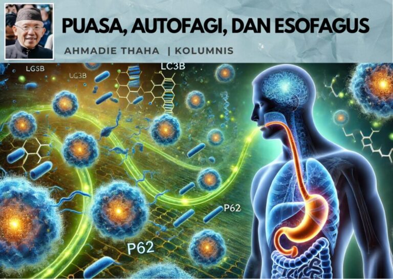Puasa, Autofagi, dan Esofagus