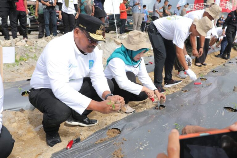 Ekonomi Babel Melemah, Dirjen Kemendagri: Jangan Lagi Bergantung pada Tambang