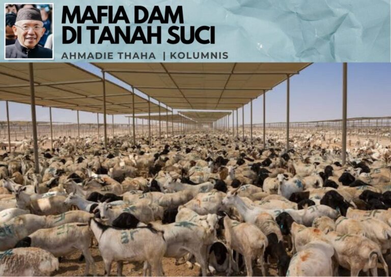 Mafia Dam di Tanah Suci