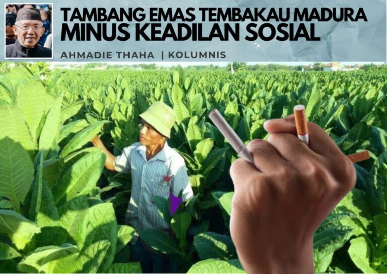 Tambang Emas Tembakau Madura Minus Keadilan Sosial