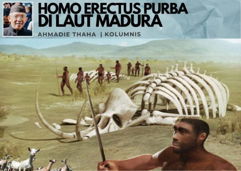 Homo Erectus Purba di Laut Madura