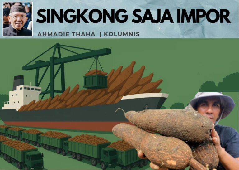 Singkong Saja Impor