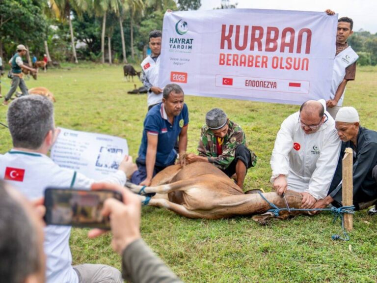 Dari Anatolia untuk NTT: Ratusan Sapi Qurban dari Turkiye Menyapa Saudara Mualaf di Pelosok Timur Indonesia