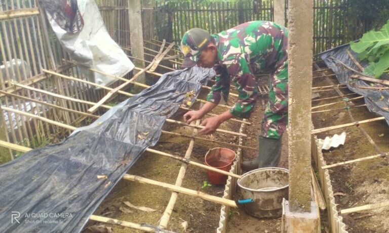 Luar Biasa, Serda Rohman Ubah Limbah Ternak Jadi Ladang Rezeki Lewat Budidaya Cacing