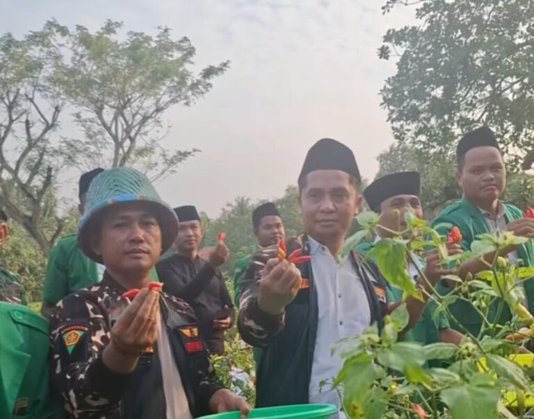 Ansor Ataneh di Desa Mandung, Jawaban Anak Muda NU Atas Kemandirian Pangan Nasional