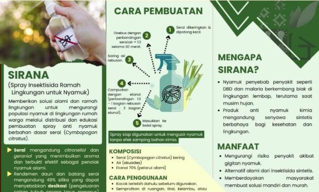 Berikut adalah naskah berita yang telah disesuaikan dengan gaya dan semangat dari judul alternatif: --- SIRANA, Spray Anti Nyamuk Buatan Mahasiswa KKN Unair di Mojokerto Surabaya, 22 Juli 2025 — Masalah tumpukan sampah dan cuaca lembap menjadi tantangan kesehatan yang dihadapi warga Desa Kalikatir, Kecamatan Gondang, Kabupaten Mojokerto. Kondisi ini memicu lonjakan populasi nyamuk yang berisiko menularkan penyakit seperti Demam Berdarah Dengue (DBD) dan malaria. Menanggapi situasi tersebut, mahasiswa Kuliah Kerja Nyata Belajar Bersama Komunitas (KKN BBK 6) Universitas Airlangga (Unair) menggagas sebuah solusi sederhana dan berbasis lokal: spray insektisida alami berbahan dasar serai, yang diberi nama SIRANA. --- Serai Jadi Senjata Lawan Nyamuk Menurut Mirna Dea, anggota KKN BBK 6 Unair, ide pembuatan spray insektisida ini muncul dari kebutuhan warga akan solusi praktis dan terjangkau untuk mengusir nyamuk. “Banyak warga yang belum terbiasa memilah sampah. Timbunan sampah ditambah kelembapan udara menciptakan lingkungan ideal bagi nyamuk. Maka kami inisiasi SIRANA — Spray Insektisida Ramah Lingkungan untuk Membasmi Nyamuk,” jelas Mirna, Minggu (20/7/2025). Spray ini dibuat dengan cara merebus batang serai, lalu mencampurkannya dengan etanol 70 persen sebagai pelarut dan antiseptik. Produk ini kemudian didistribusikan ke 20 rumah warga secara door to door, lengkap dengan leaflet berisi informasi manfaat, cara penggunaan, dan panduan pembuatan ulang. --- Murah, Aman, dan Bisa Dibuat Sendiri SIRANA tak hanya menjadi solusi jangka pendek, tapi juga mendorong kemandirian warga dalam menjaga kesehatan lingkungan. Dengan memanfaatkan sumber daya lokal seperti serai, warga didorong untuk tidak bergantung pada produk komersial yang mahal atau mengandung bahan kimia berbahaya. “Tujuan kami adalah memberdayakan warga agar bisa membuat produk pengusir nyamuk sendiri. Selain aman, biayanya juga sangat rendah dan bahan-bahannya mudah ditemukan di sekitar,” terang mahasiswa Fakultas Ilmu Budaya (FIB) Unair itu. --- Langkah Kecil, Dampak Besar Melalui program ini, tim KKN Unair berharap dapat membentuk kesadaran kolektif di masyarakat untuk lebih peduli terhadap pengelolaan sampah dan kesehatan lingkungan. “Spray ini hanyalah awal. Yang paling penting adalah kesadaran masyarakat bahwa lingkungan bersih dan sehat bisa diwujudkan dengan cara yang sederhana, murah, dan ramah lingkungan,” tutup Mirna. Mahasiswa Unair berharap SIRANA bisa terus digunakan dan dikembangkan oleh warga sebagai upaya berkelanjutan dalam mencegah penyakit berbasis lingkungan. --- Jika diinginkan, saya juga bisa bantu buatkan ilustrasi visual atau poster infografik untuk mendukung publikasi program SIRANA ini.