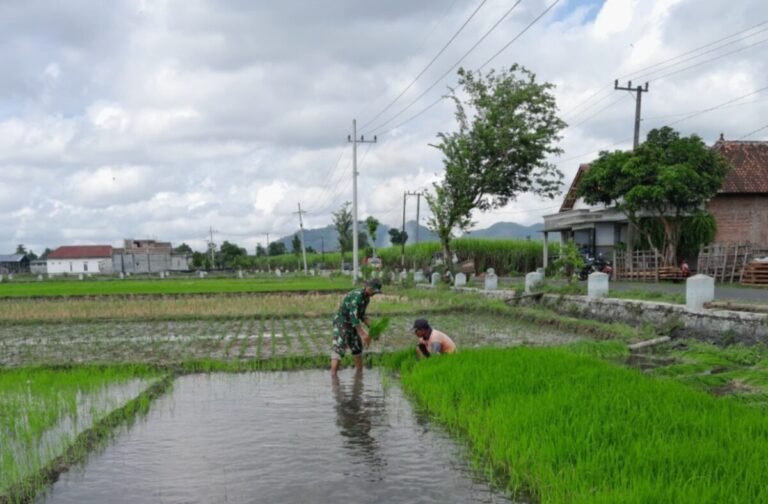 Serka Sugianto dan Misi Sunyi Swasembada dari Pinggiran Tulungagung