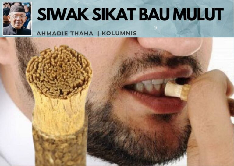 Siwak Sikat Bau Mulut