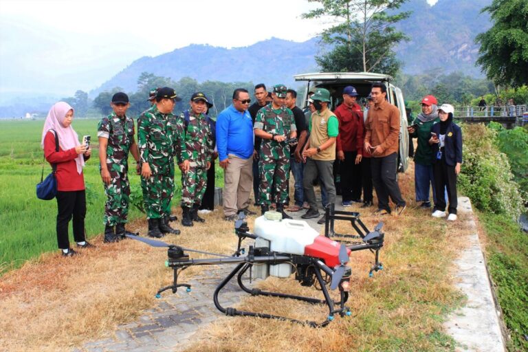 Dandim Trenggalek Operasikan Drone di Sawah, TNI Hadir Bantu Petani Lawan Hama Wereng