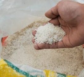 Konsumen Jadi Korban! Tulus Abadi FKBI Bongkar Biang Keladi Kekacauan Distribusi Beras Premium