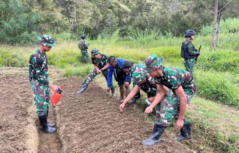 Badak Hitam Turun ke Sawah, Pemuda Papua Lawan Ketergantungan dengan Kemandirian Pangan