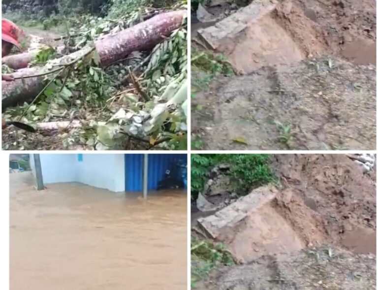 Mencekam! Banjir dan Longsor Lumpuhkan Cukuh Balak, Limau, dan Kaluambayan