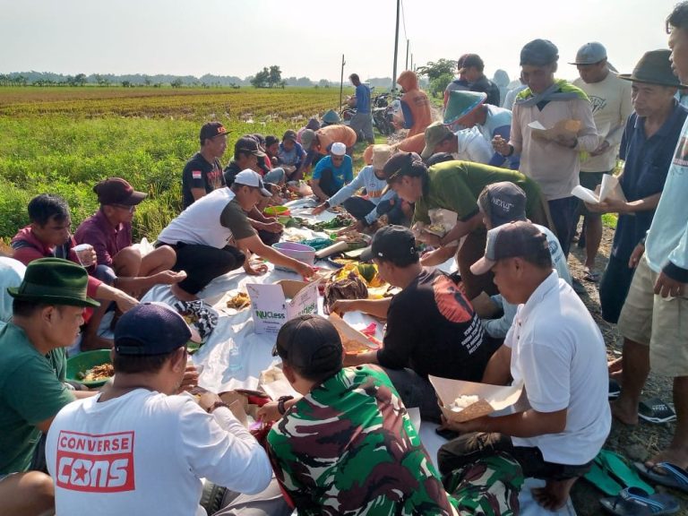 Bukak Bumi, Tradisi Petani Mlorah Awali Musim Tanam