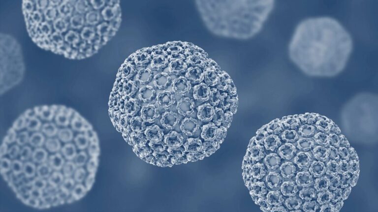 Rift Valley Fever, Virus Mematikan dari Afrika yang Mengintai Ternak dan Manusia