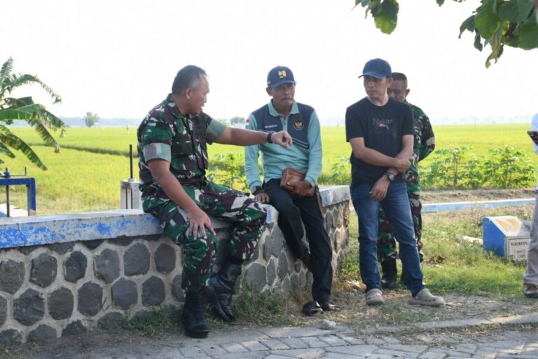 Panen Raya di Depan Mata, Danrem 081/DSJ Optimistis Hasil Padi Ngawi Meningkat