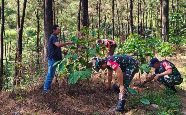 Dua Tahun Setelah Kebakaran Hebat, Gunung Lawu Kini Hijau Kembali Berkat TNI AD