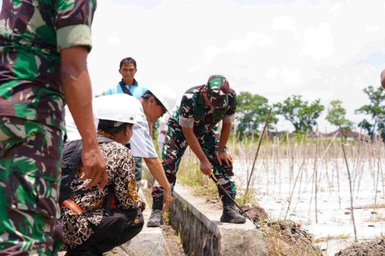 Danrem 083/Bdj Turun Sawah! TNI Kawal Rehabilitasi Irigasi Demi Petani Banyuwangi