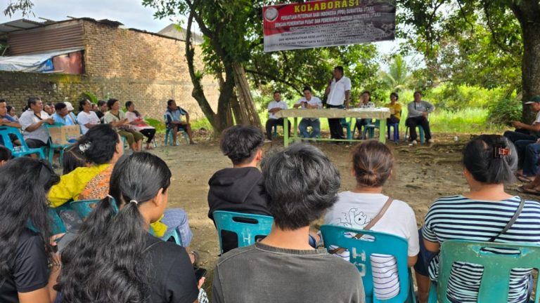 Flu Babi Kian Meluas, Peternak Sumut Desak Pemerintah Bertindak Cepat