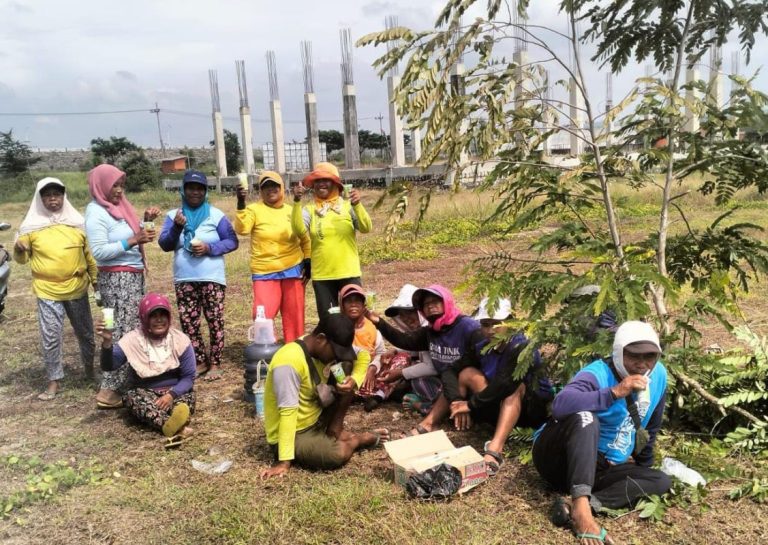 Panitia Bangun Masjid di Nganjuk Galang Dana Lewat Tanam Jagung, Hasil Panen untuk Rumah Allah