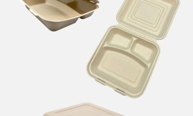 Terraware, Kotak Makan dari Ampas Tebu Karya Mahasiswa UNAIR Ini Raup Juara Nasional